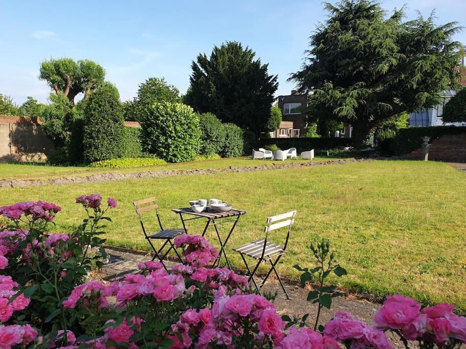 Huyze Lapin Vakantiewoning Brugge Ngoại thất bức ảnh